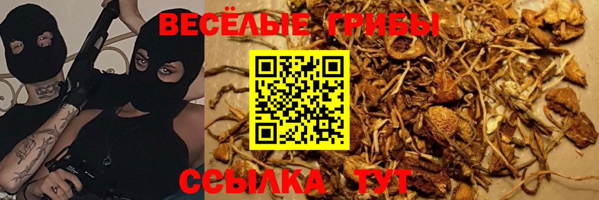 Галлюциногенные грибы GOLDEN TEACHER Нарьян-Мар
